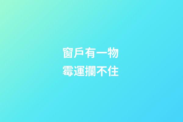 窗戶有一物 霉運攔不住